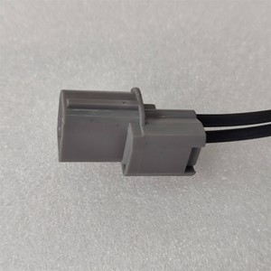 IMG20250225163929 IMG20250225163929